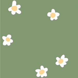 Meet your Posher, Addy